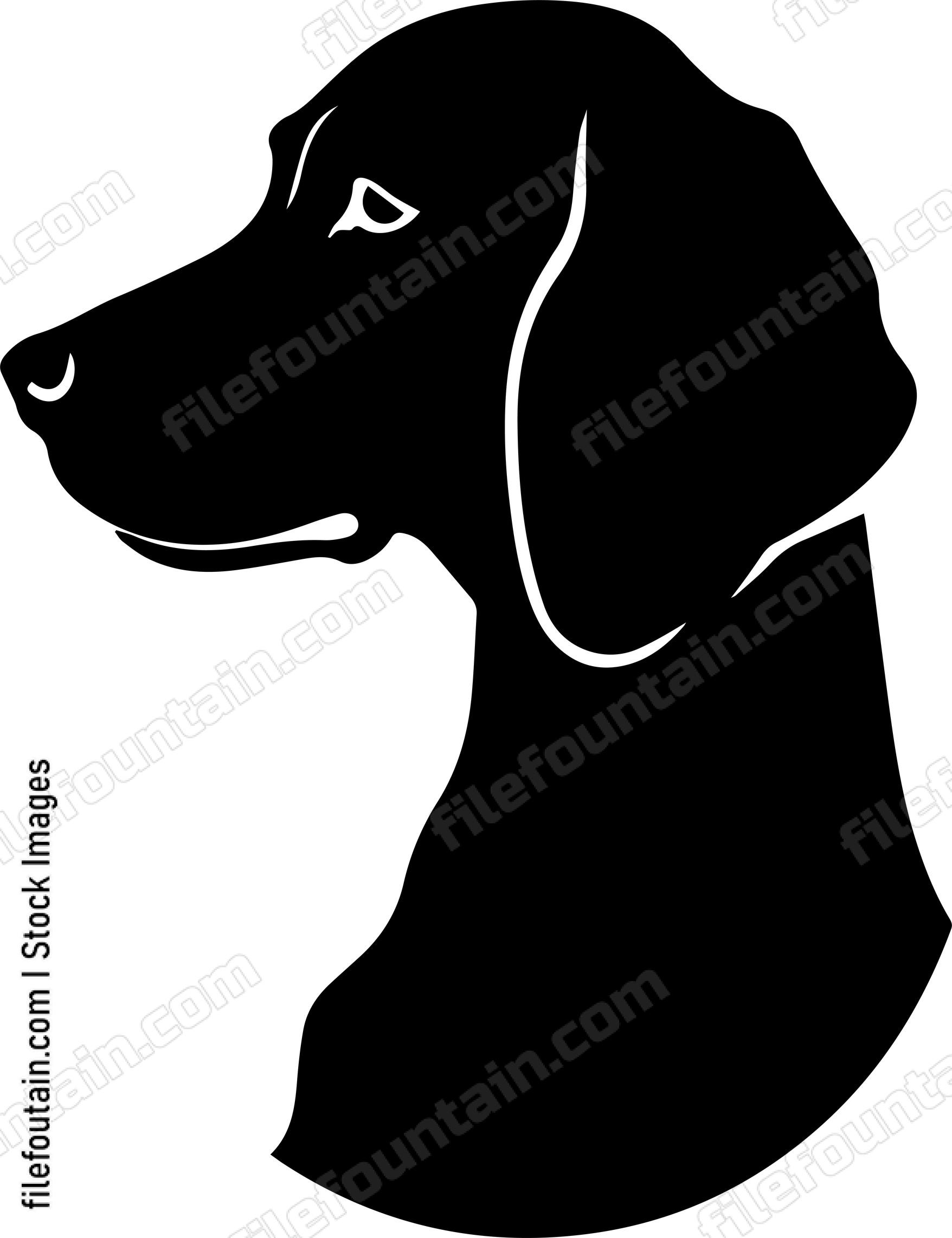 Weimaraner