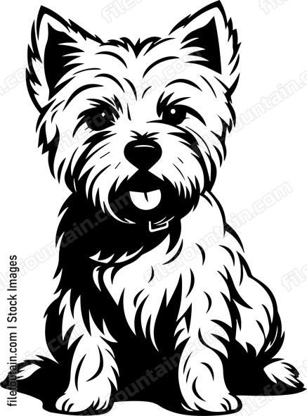 West Highland White Terrier