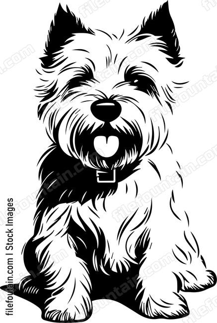 West Highland White Terrier