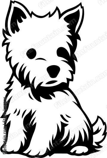 West Highland White Terrier