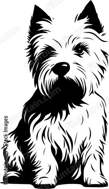 West Highland White Terrier