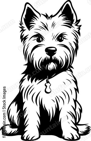 West Highland White Terrier