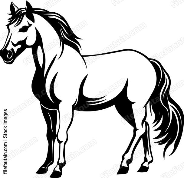 White Horse