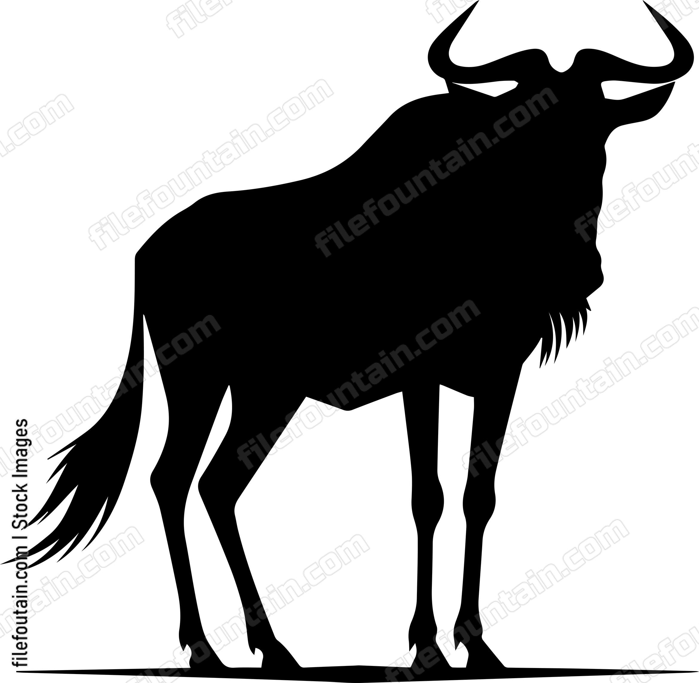 Wildebeest
