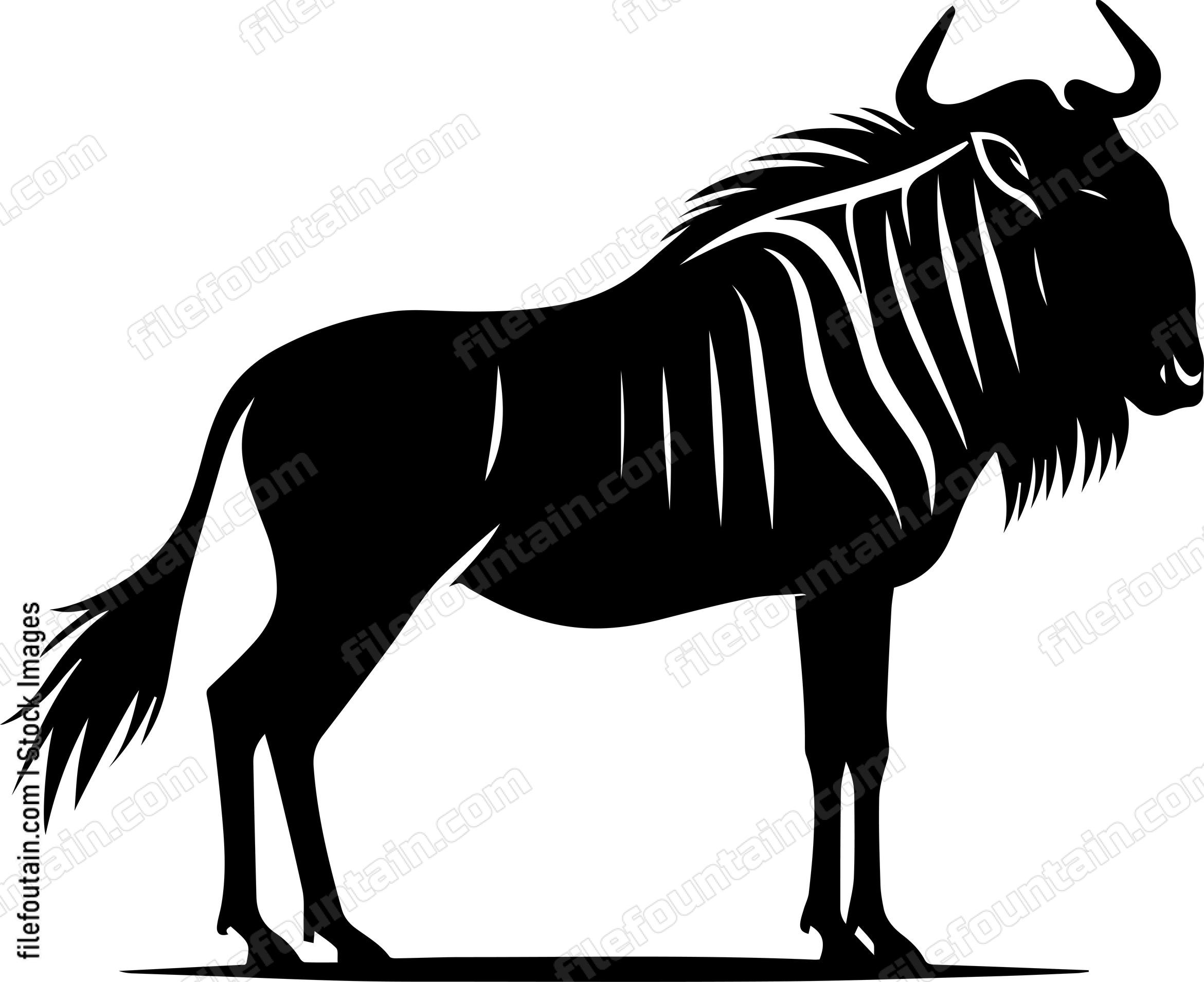 Wildebeest