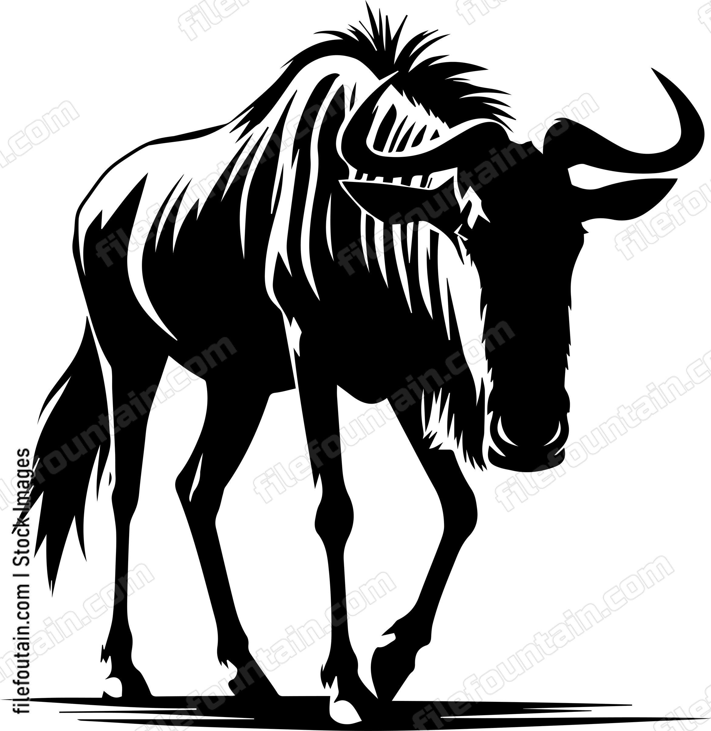 Wildebeest