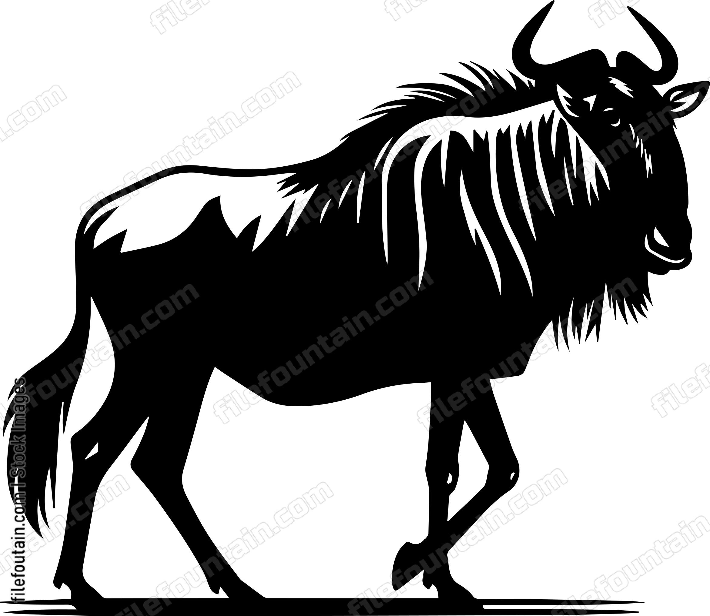 Wildebeest