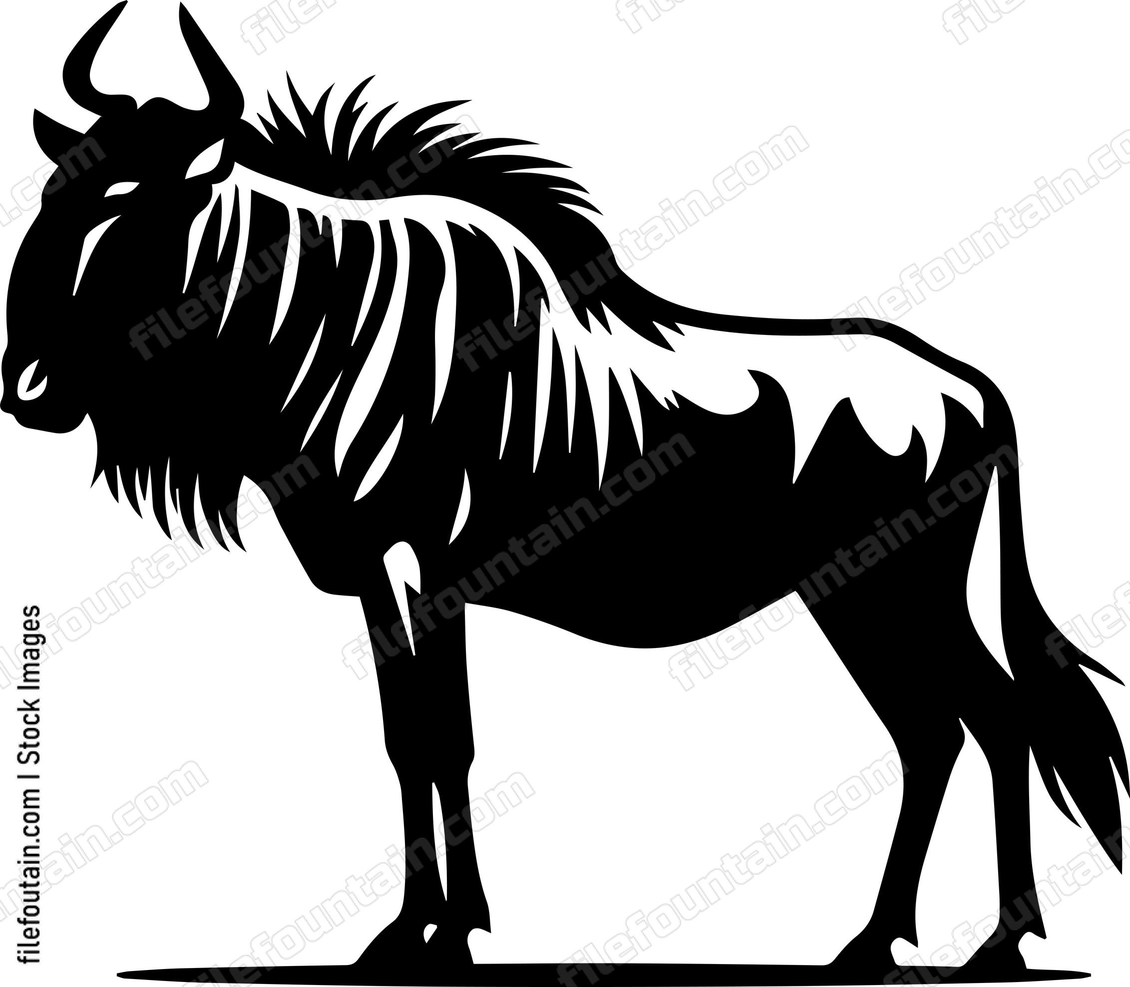 Wildebeest