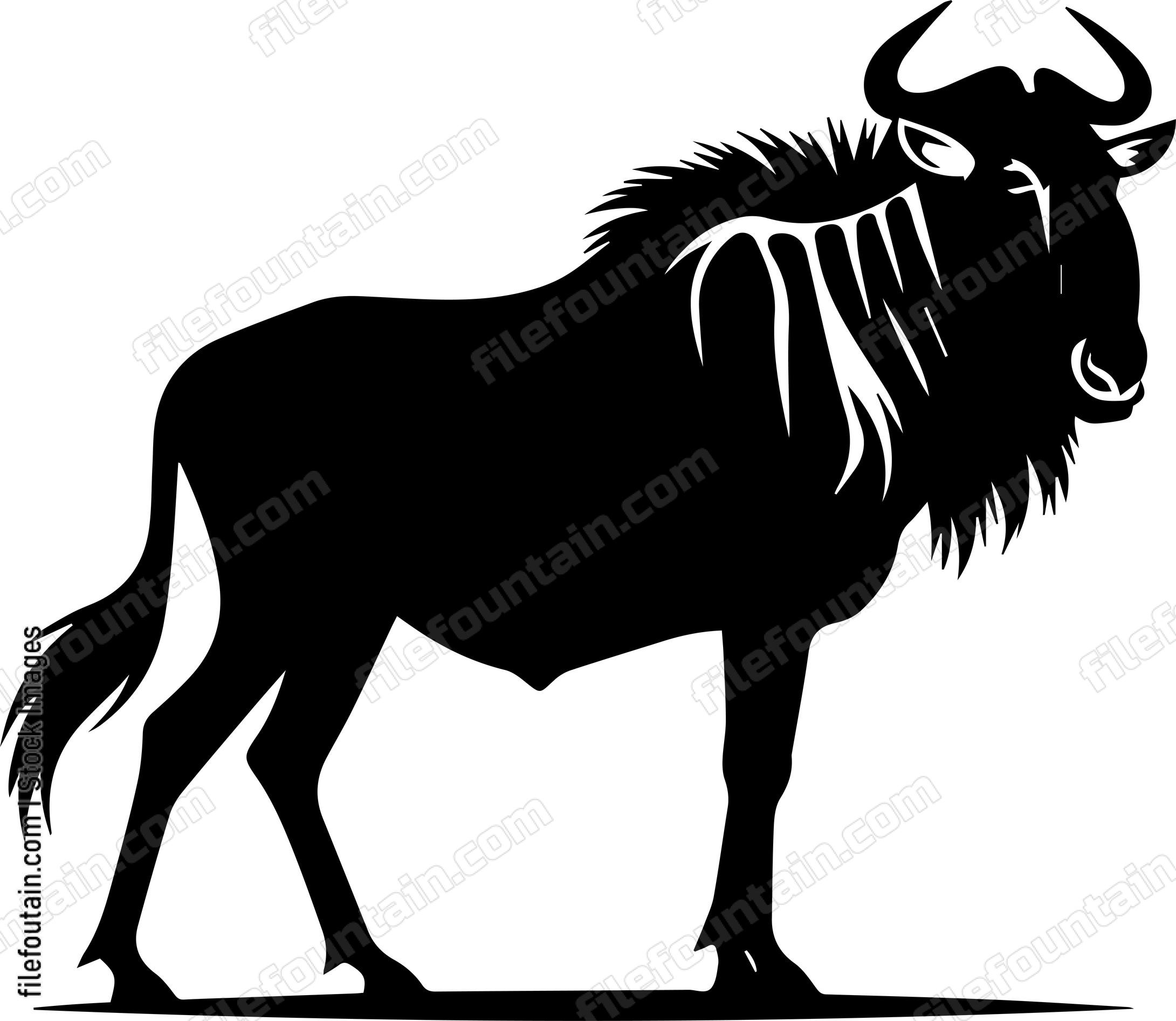 Wildebeest