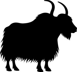 Yak