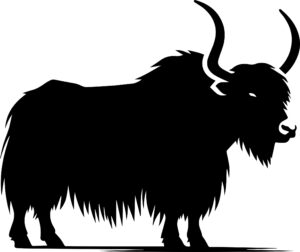 Yak