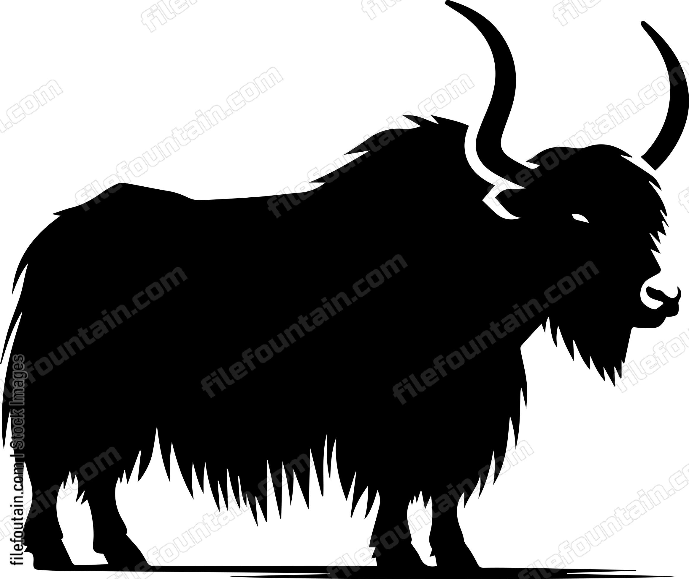 Yak