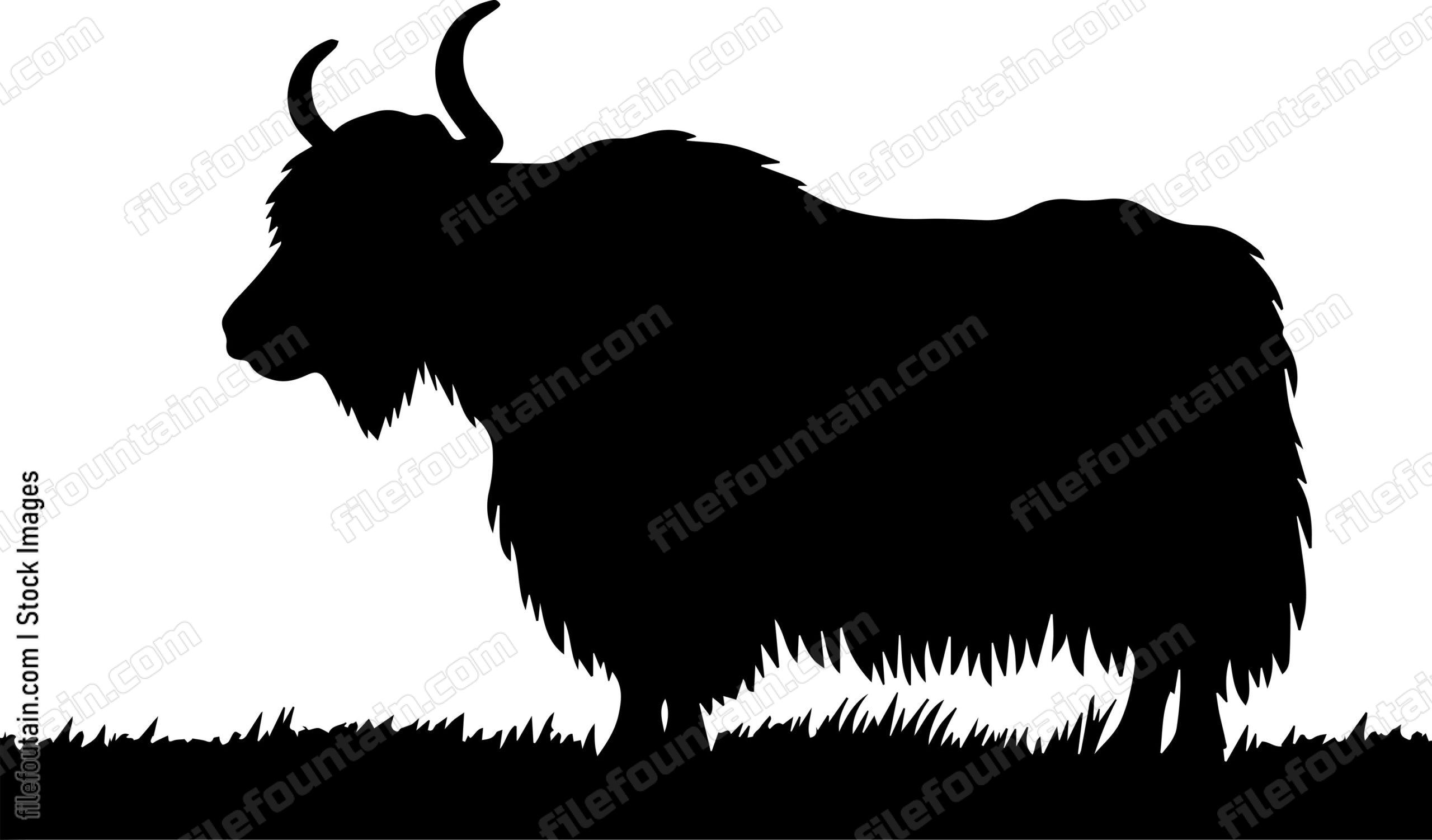 Yak
