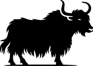 Yak