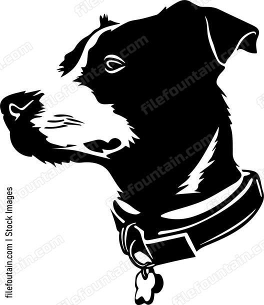 A dogs head in profile