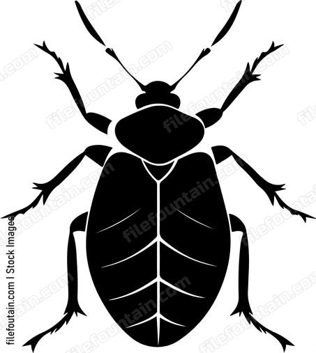 A simple beetle
