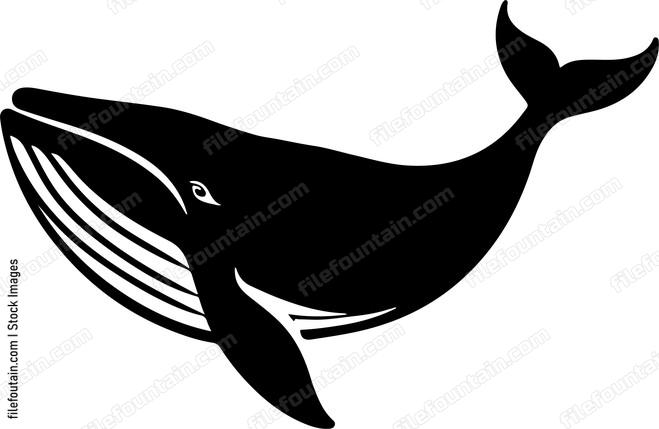 A simple whale outline