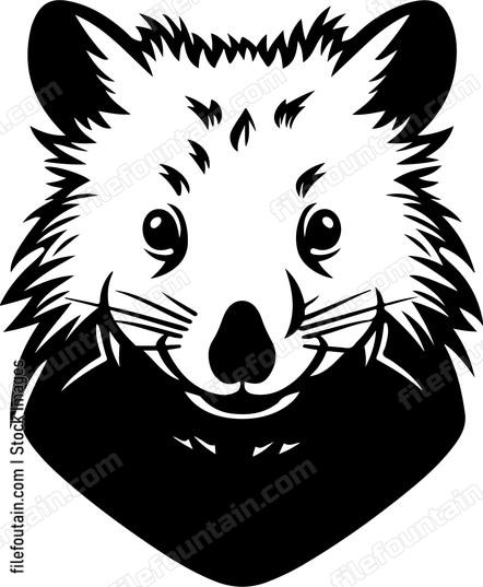 A wombats face