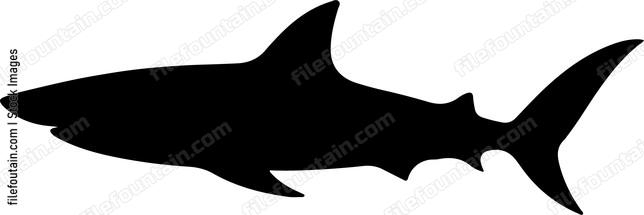 Abstract view of a sharks shadow on a sandy ocean floor