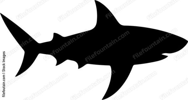 Aerial view of a shark patrolling near the shoreline