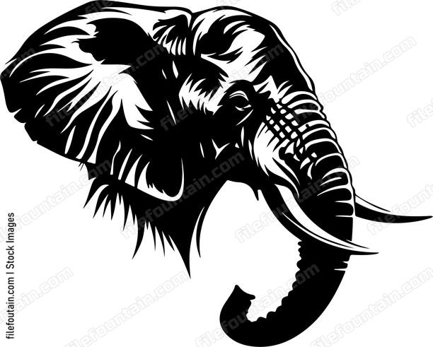 African Elephant