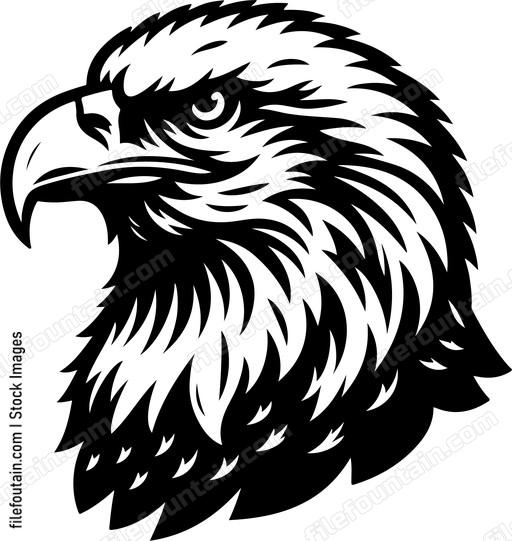 American Bald Eagle