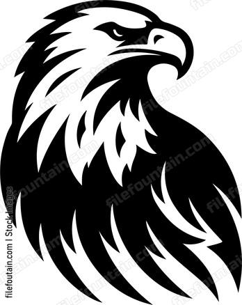 American Bald Eagle