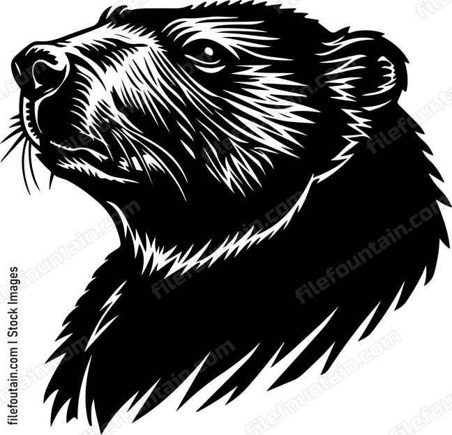 American Beaver