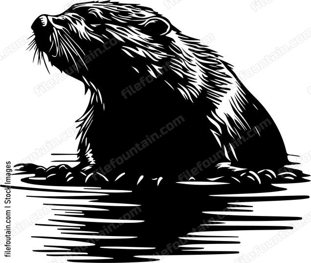 American Beaver