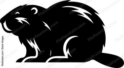 American Beaver