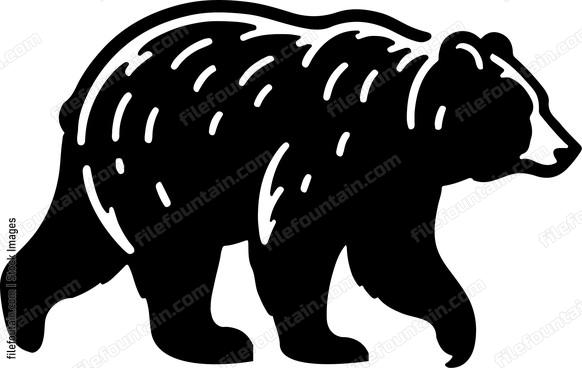 American Black Bear