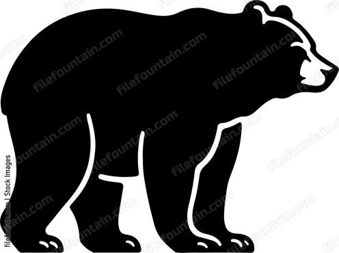 American Black Bear