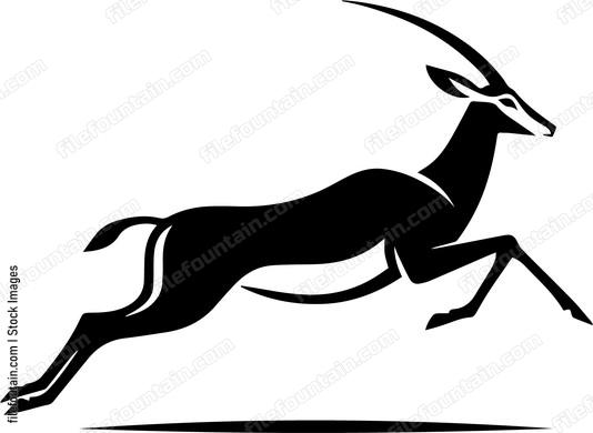 Antelope Running