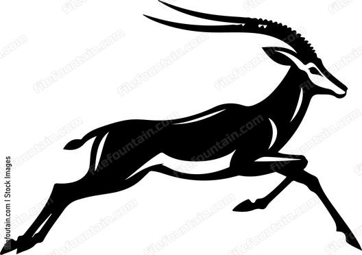 Antelope Running