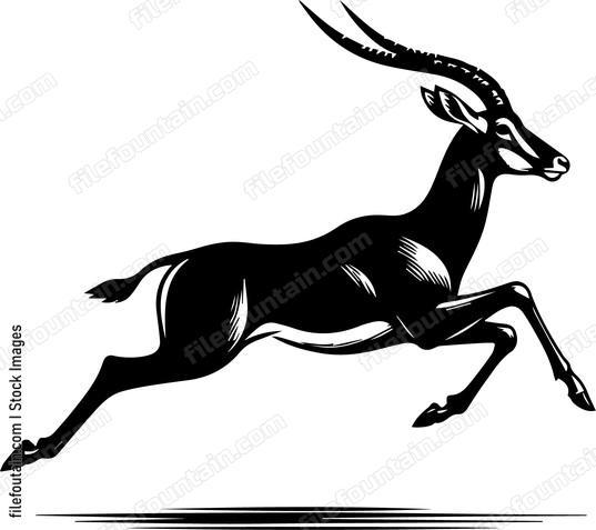Antelope Running