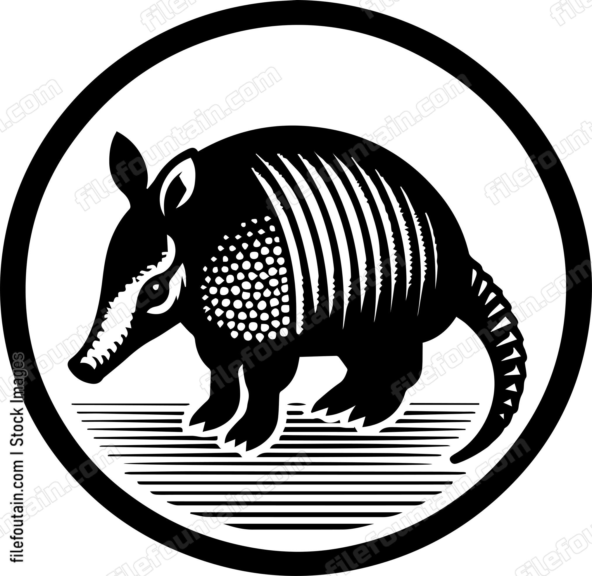 Armadillo