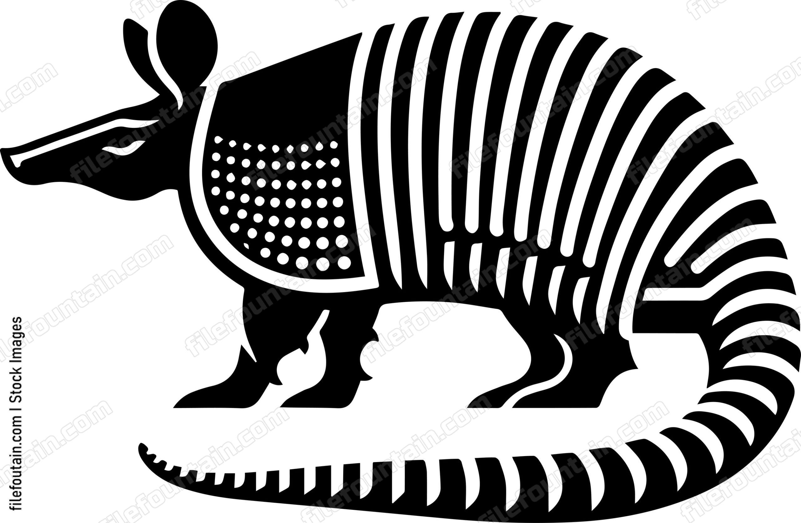 Armadillo