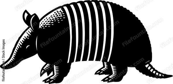 Armadillo