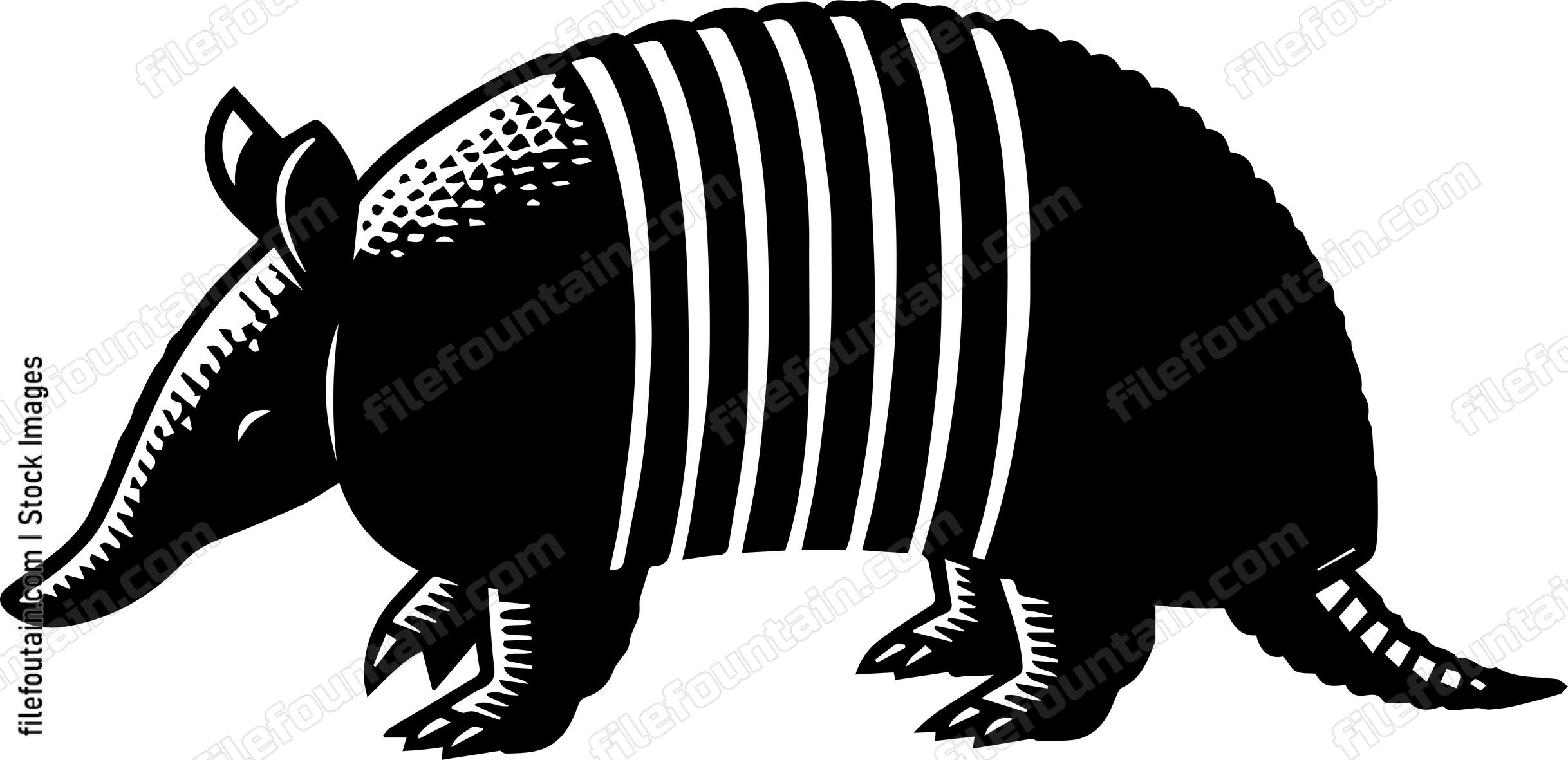 Armadillo