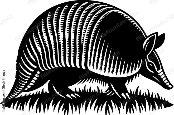 Armadillo scurrying along the forest floor seeking shelter or food