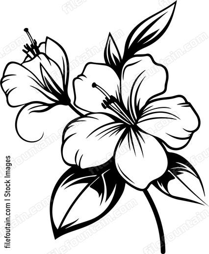 Azalea Flower