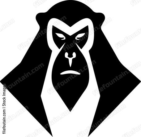 Baboon