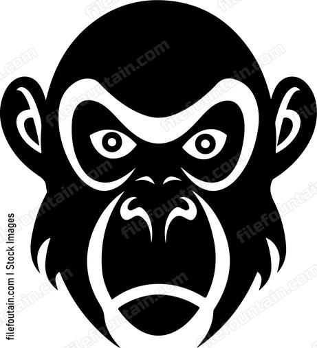 Baboon Head