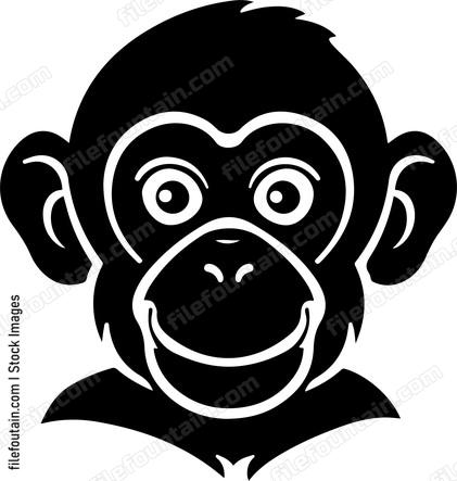 Baby Chimp