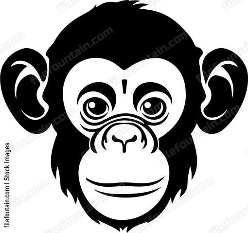 Baby Chimp