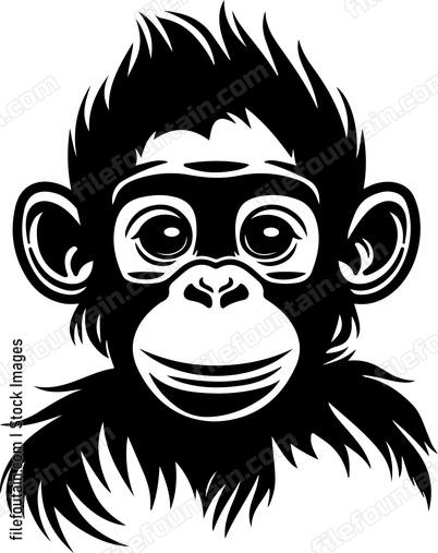 Baby Orangutan