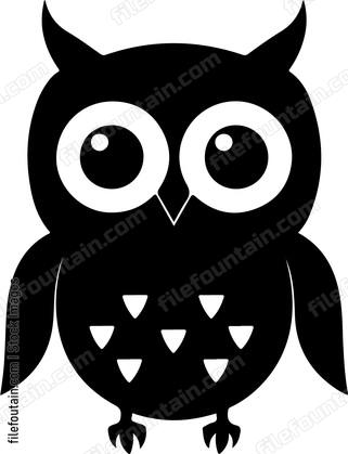 Baby Owl