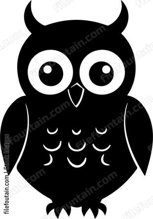 Baby Owl