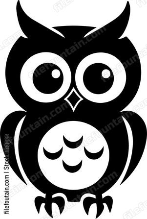 Baby Owl