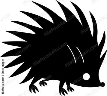 Baby Porcupine